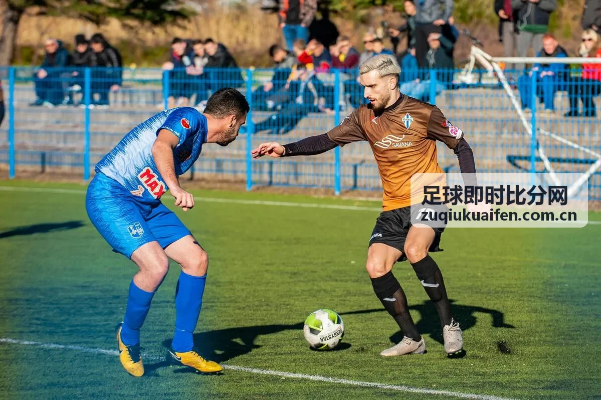 足球即时比分转会市场动态